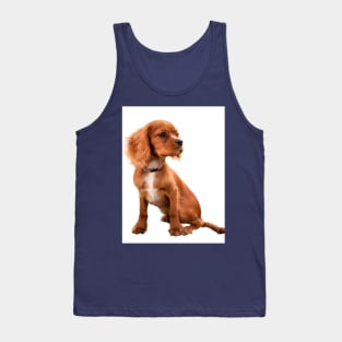 Brown sitting dog Tank Top